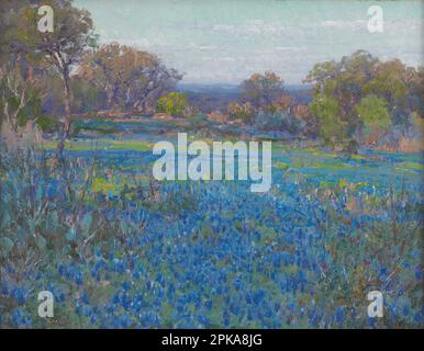 Ein Feld mit blauen Hauben, Sonnenlicht am späten Nachmittag 1919/1920 von Julian Onderdonk Stockfoto