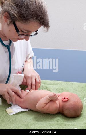 Der Kinderarzt prüft die Pulse der Femoralarterien. St. Vincent de Paul Krankenhaus, Lille. Stockfoto