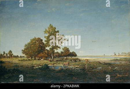 Landschaft mit einem Baumstamm, ca. 1844 von Theodore Rousseau Stockfoto