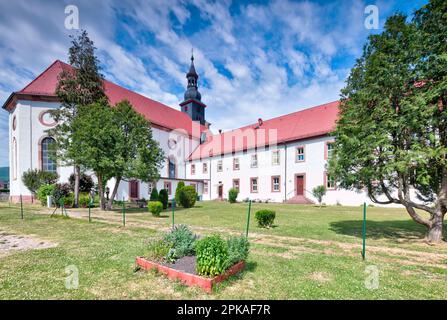 Katholische Kirche, St. Peter und Paul, ehemaliges Franziskanerkloster, Sommer, Dermbach, Rhön, Wartburgkreis, Thüringen, Deutschland, Europa, Stockfoto