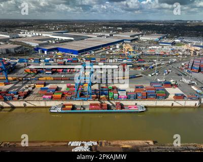 15.03.2023, Deutschland, Nordrhein-Westfalen, Duisburg - Hafen Duisburg, Containerhafen, Loghafen Duisburg, im Hafen Duisburg am Rhein, zwei von Stockfoto