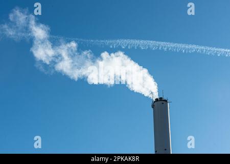 Dampf steigt aus einem hohen Schornstein. Stockfoto