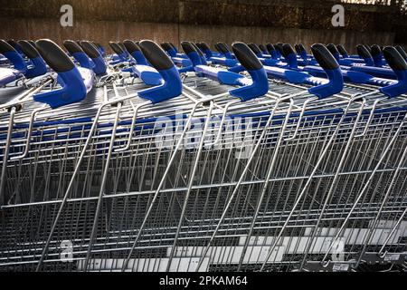 Lange Reihen leerer Einkaufswagen warten auf Kunden in einem Einkaufszentrum Stockfoto