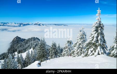 Schneebedeckte Berglandschaft über dem Wolkenmeer an sonnigen Wintertagen. Blick von Grünten nach Westen. Allgäu Alps, Bayern, Deutschland Stockfoto