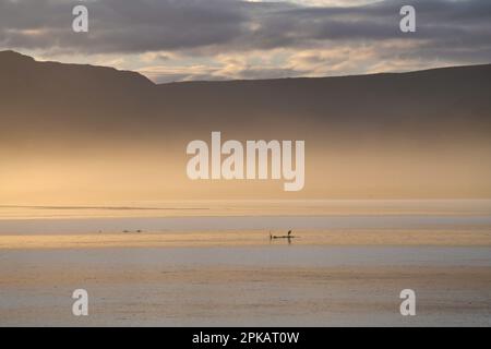 Meerestrübe auf der bot River Lagune, Overberg, Südafrika. Stockfoto