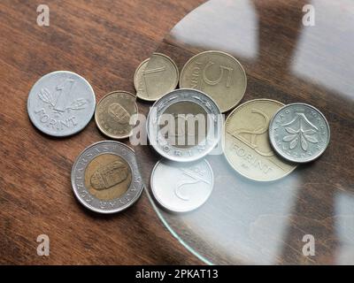 Ungarische Forint-Münzen unter einer Lupe auf einem Holztisch, selektiver Fokus. Lokale Währungen Stockfoto