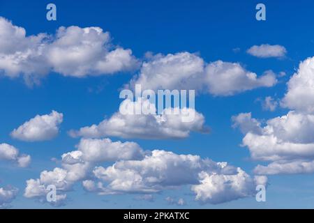 Wolkenatmosphäre, Kumuluswolken gegen blauen Himmel, Quellwolken, Kumuluswolken, Wilhelmshaven, Niedersachsen, Deutschland Stockfoto