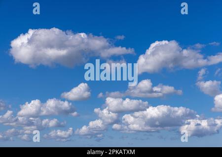 Wolkenatmosphäre, Kumuluswolken gegen blauen Himmel, Kumuluswolken, Kumuluswolken, Wilhelmshaven, Niedersachsen, Deutschland Stockfoto