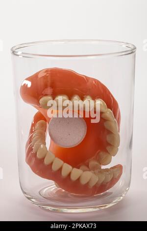 Zahnersatz mit Reinigungstablette in leerem Wasserglas, Symbolbild, sauberer Zahnersatz, weißer Hintergrund, Stockfoto