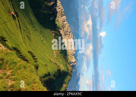 Wanderung nach Gehrenalpe, 1610 m, Wängle bei Reutte in Tirol, Österreich, Europa Stockfoto