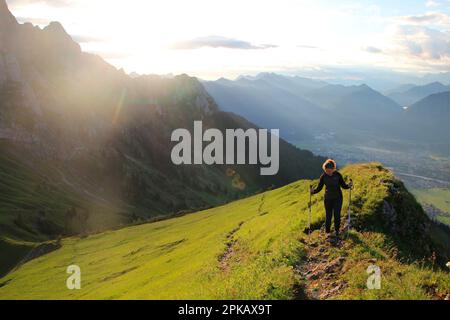 Wanderung nach Gehrenalpe, 1610 m, Wängle bei Reutte in Tirol, Österreich, Europa Stockfoto