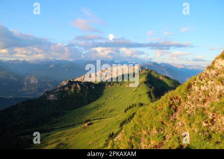 Wanderung nach Gehrenalpe, 1610 m, Wängle bei Reutte in Tirol, Österreich, Europa Stockfoto