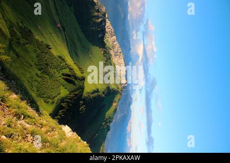 Wanderung nach Gehrenalpe, 1610 m, Wängle bei Reutte in Tirol, Österreich, Europa Stockfoto