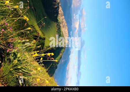 Wanderung nach Gehrenalpe, 1610 m, Wängle bei Reutte in Tirol, Österreich, Europa Stockfoto