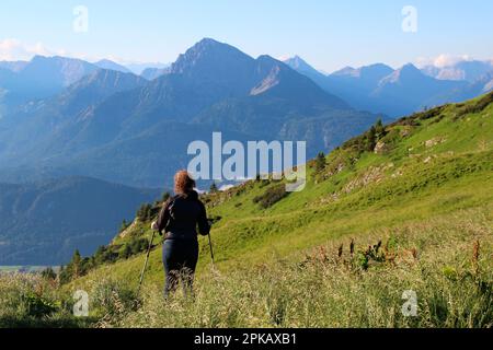 Wanderung nach Gehrenalpe, 1610 m, Wängle bei Reutte in Tirol, Österreich, Europa Stockfoto