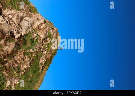 Wanderung nach Gehrenalpe, 1610 m, Wängle bei Reutte in Tirol, Österreich, Europa Stockfoto