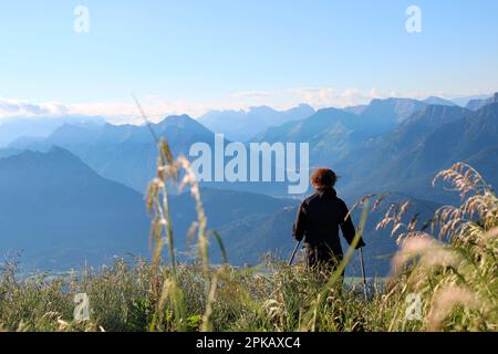 Wanderung nach Gehrenalpe, 1610 m, Wängle bei Reutte in Tirol, Österreich, Europa Stockfoto