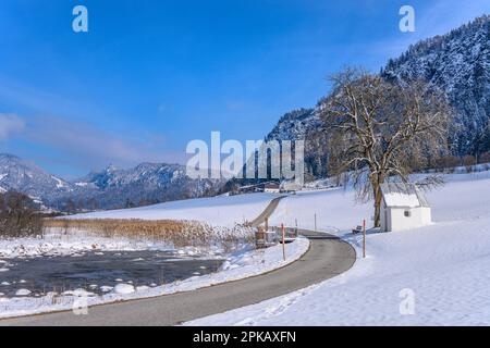 Österreich, Tirol, Kaiserwinkl, Walchsee, Schwaigs, Schwemm Moorland, Kapellenteich gegen Miesberg Stockfoto