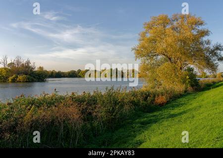 Naturschutzgebiet Haselbacher Teiche bei Haselbach, Altenburger Land, Thüringen, Deutschland Stockfoto