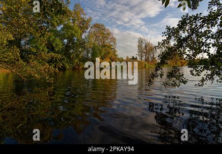 Naturschutzgebiet Haselbacher Teiche bei Haselbach, Altenburger Land, Thüringen, Deutschland Stockfoto