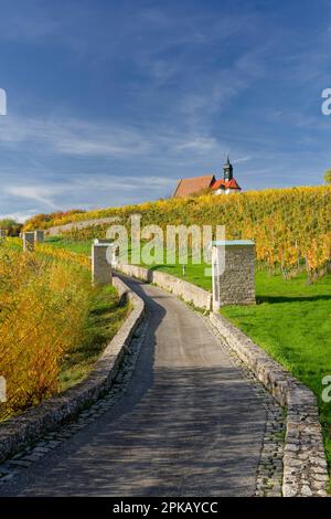 Maria in Weinbergen und Weinbergen in der Nähe von Volkach, Niederfrankien, Bayern, Deutschland Stockfoto