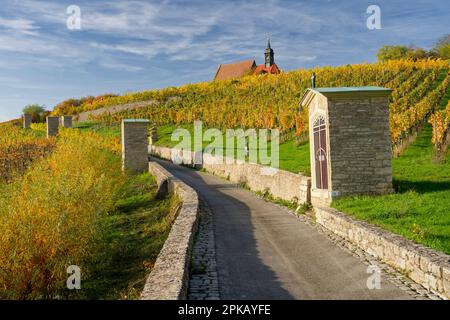 Maria in Weinbergen und Weinbergen in der Nähe von Volkach, Niederfrankien, Bayern, Deutschland Stockfoto