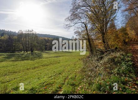 Naturschutzgebiet Niederes Schöndra-Tal zwischen der Gemeinde Heiligkreuz und Gräfendorf im Biosphärenreservat Rhön und im Naturpark Spessart, Niederfrankien, Franken, Bayern, Deutschland. Stockfoto