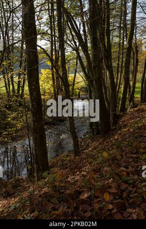 Naturschutzgebiet Niederes Schöndra-Tal zwischen der Gemeinde Heiligkreuz und Gräfendorf im Biosphärenreservat Rhön und im Naturpark Spessart, Niederfrankien, Franken, Bayern, Deutschland. Stockfoto