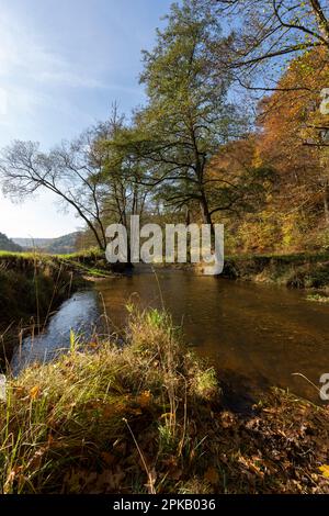 Die Schondra im Naturschutzgebiet Niederes Schöndra-Tal zwischen der Gemeinde Heiligkreuz und Gräfendorf, im Biosphärenreservat Rhön und im Naturpark Spessart, Niederfrankien, Franken, Bayern, Deutschland Stockfoto