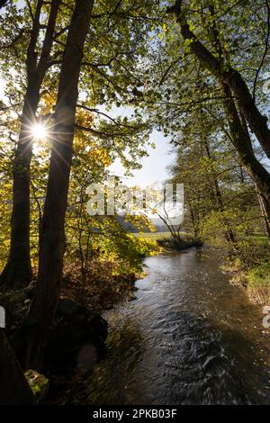 Die Schondra im Naturschutzgebiet Niederes Schöndra-Tal zwischen der Gemeinde Heiligkreuz und Gräfendorf, im Biosphärenreservat Rhön und im Naturpark Spessart, Niederfrankien, Franken, Bayern, Deutschland Stockfoto