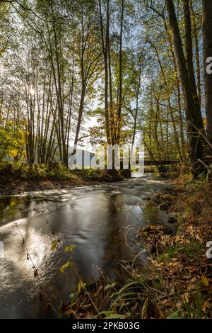 Die Schondra im Naturschutzgebiet Niederes Schöndra-Tal zwischen der Gemeinde Heiligkreuz und Gräfendorf, im Biosphärenreservat Rhön und im Naturpark Spessart, Niederfrankien, Franken, Bayern, Deutschland Stockfoto