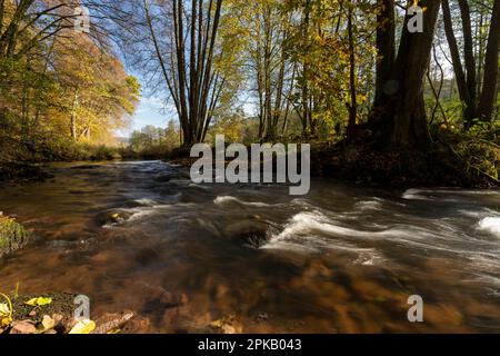 Die Schondra im Naturschutzgebiet Niederes Schöndra-Tal zwischen der Gemeinde Heiligkreuz und Gräfendorf, im Biosphärenreservat Rhön und im Naturpark Spessart, Niederfrankien, Franken, Bayern, Deutschland Stockfoto