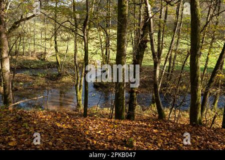 Naturschutzgebiet Niederes Schöndra-Tal zwischen der Gemeinde Heiligkreuz und Gräfendorf im Biosphärenreservat Rhön und im Naturpark Spessart, Niederfrankien, Franken, Bayern, Deutschland. Stockfoto