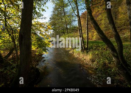 Die Schondra im Naturschutzgebiet Niederes Schöndra-Tal zwischen der Gemeinde Heiligkreuz und Gräfendorf, im Biosphärenreservat Rhön und im Naturpark Spessart, Niederfrankien, Franken, Bayern, Deutschland Stockfoto