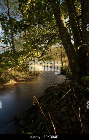 Die Schondra im Naturschutzgebiet Niederes Schöndra-Tal zwischen der Gemeinde Heiligkreuz und Gräfendorf, im Biosphärenreservat Rhön und im Naturpark Spessart, Niederfrankien, Franken, Bayern, Deutschland Stockfoto