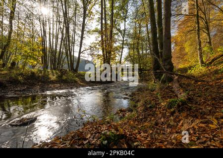 Die Schondra im Naturschutzgebiet Niederes Schöndra-Tal zwischen der Gemeinde Heiligkreuz und Gräfendorf, im Biosphärenreservat Rhön und im Naturpark Spessart, Niederfrankien, Franken, Bayern, Deutschland Stockfoto