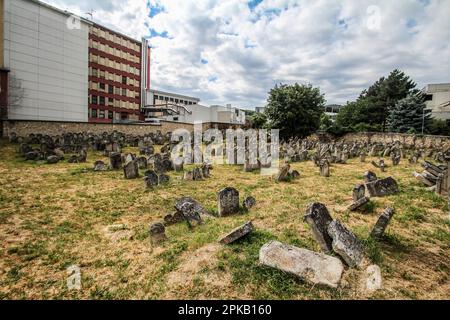 Alter jüdischer Friedhof zwischen Wohnhäusern in Eisenstadt, Österreich Stockfoto