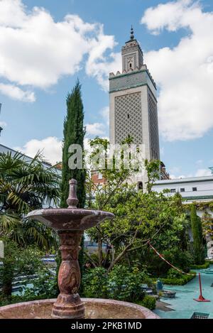 Schöner bewachsener Hof im Grande Mosquee de Paris, Frankreich Stockfoto