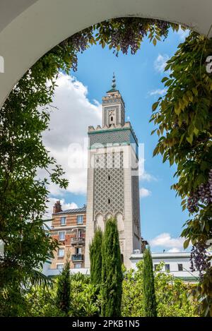 Die Grande Mosquee de Paris, Frankreich Stockfoto