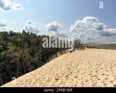 Beeindruckende Wanderdünen im Slowinski Nationalpark bei Leba, Polen Stockfoto