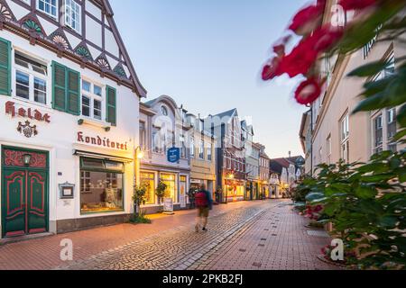 Fusgängerzone Eckernförde, Schleswig-Holstein, Deutschland Stockfoto