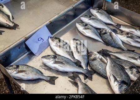 Fisch zum Verkauf auf dem Bauernmarkt, Nikiti, Sithonia, Griechenland. Selektiver Fokus. Stockfoto