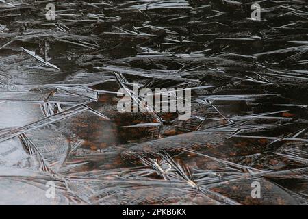 Furlbach Valley im Dezember mit Haarreis Stockfoto