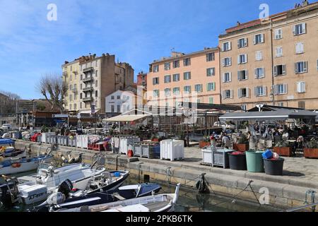 Quai Napoléon, Ajaccio, Corse-du-Sud, Korsika, Frankreich, Mittelmeer, Europa Stockfoto