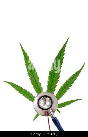 Stethoskop auf einem Cannabisblatt auf einem Tischhintergrund. Stockfoto