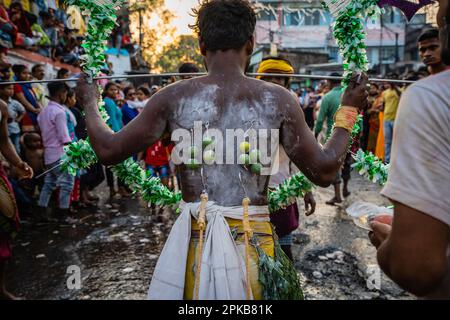 6. April 2023, Bandel, Westbengalen, Indien: Ein Gläubiger führt während einer religiösen Prozession des Bhel Bhel Festivals ein Ritual durch. Bandel Sitala Puja wird in Bandel, Westbengalen, gefeiert, mit Tamilen und bengalischer Gemeinde. Murugan ist in anderen Ländern wie Sri Lanka, Singapur und Malaysia beliebt. Zu den exklusiven Ritualen gehören mehrere einheimische Menschen, die an einem Ritual teilnehmen, bei dem sie ihre Körperhaut, Zunge, Wangen mit einer langen Metallstange und mehrere Haken am Rücken durchbohren, während sie eine Prozession in Richtung Tempel und Feuerspaziergang machen. (Kreditbild: © Saurabh Stockfoto