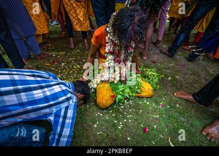 6. April 2023, Bandel, Westbengalen, Indien: Ein Gläubiger führt während einer religiösen Prozession des Bhel Bhel Festivals ein Ritual durch. Bandel Sitala Puja wird in Bandel, Westbengalen, gefeiert, mit Tamilen und bengalischer Gemeinde. Murugan ist in anderen Ländern wie Sri Lanka, Singapur und Malaysia beliebt. Zu den exklusiven Ritualen gehören mehrere einheimische Menschen, die an einem Ritual teilnehmen, bei dem sie ihre Körperhaut, Zunge, Wangen mit einer langen Metallstange und mehrere Haken am Rücken durchbohren, während sie eine Prozession in Richtung Tempel und Feuerspaziergang machen. (Kreditbild: © Saurabh Stockfoto