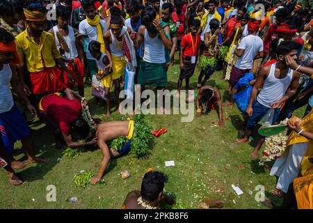 6. April 2023, Bandel, Westbengalen, Indien: Ein Gläubiger führt während einer religiösen Prozession des Bhel Bhel Festivals ein Ritual durch. Bandel Sitala Puja wird in Bandel, Westbengalen, gefeiert, mit Tamilen und bengalischer Gemeinde. Murugan ist in anderen Ländern wie Sri Lanka, Singapur und Malaysia beliebt. Zu den exklusiven Ritualen gehören mehrere einheimische Menschen, die an einem Ritual teilnehmen, bei dem sie ihre Körperhaut, Zunge, Wangen mit einer langen Metallstange und mehrere Haken am Rücken durchbohren, während sie eine Prozession in Richtung Tempel und Feuerspaziergang machen. (Kreditbild: © Saurabh Stockfoto