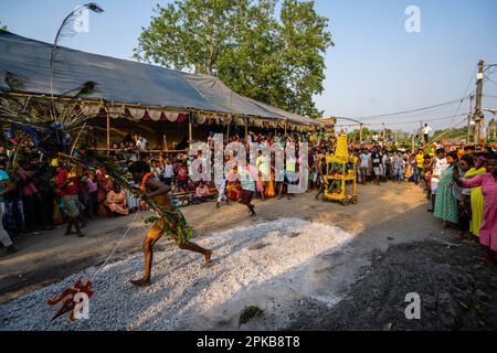 6. April 2023, Bandel, Westbengalen, Indien: Ein Gläubiger führt während einer religiösen Prozession des Bhel Bhel Festivals ein Ritual durch. Bandel Sitala Puja wird in Bandel, Westbengalen, gefeiert, mit Tamilen und bengalischer Gemeinde. Murugan ist in anderen Ländern wie Sri Lanka, Singapur und Malaysia beliebt. Zu den exklusiven Ritualen gehören mehrere einheimische Menschen, die an einem Ritual teilnehmen, bei dem sie ihre Körperhaut, Zunge, Wangen mit einer langen Metallstange und mehrere Haken am Rücken durchbohren, während sie eine Prozession in Richtung Tempel und Feuerspaziergang machen. (Kreditbild: © Saurabh Stockfoto