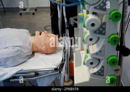 Krankenschwestern und Notfallschwestern werden an der Medizinischen Fakultät in Notfallverfahren und Wiederbelebung geschult. Simman-Dummy in Aktion. Stockfoto